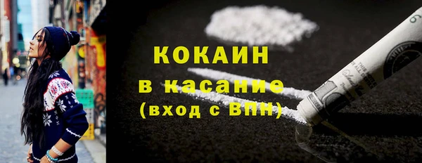 индика Гусь-Хрустальный