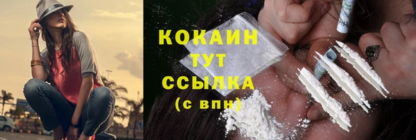 PSILOCYBIN Гусев