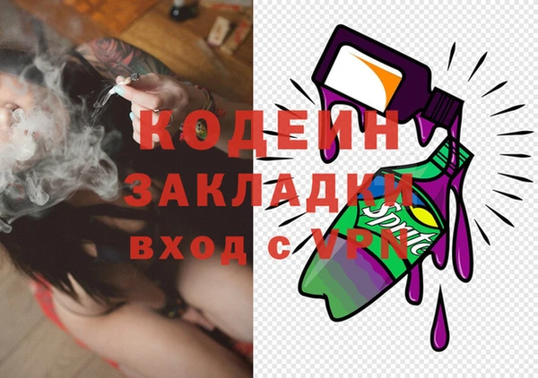 индика Гусь-Хрустальный