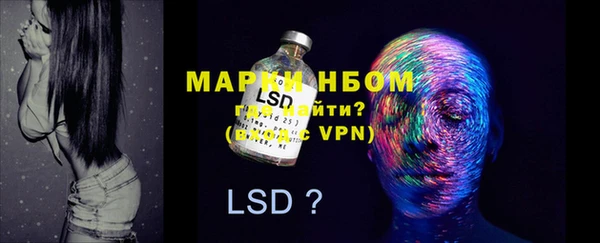 PSILOCYBIN Гусев