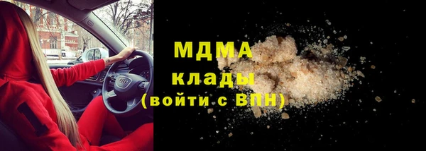 индика Гусь-Хрустальный