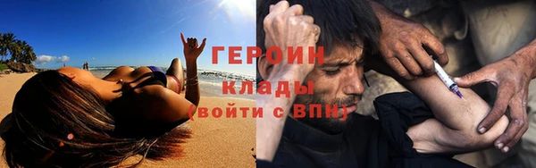 индика Гусь-Хрустальный