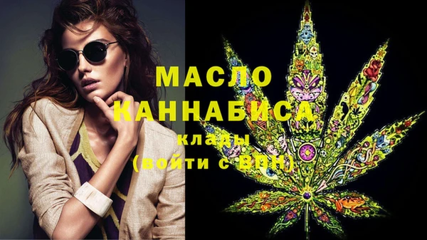 индика Гусь-Хрустальный