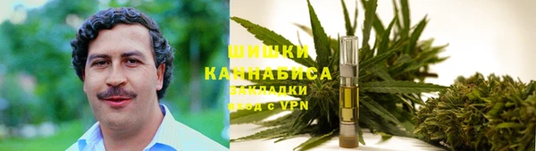 PSILOCYBIN Гусев