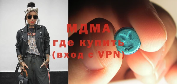 индика Гусь-Хрустальный