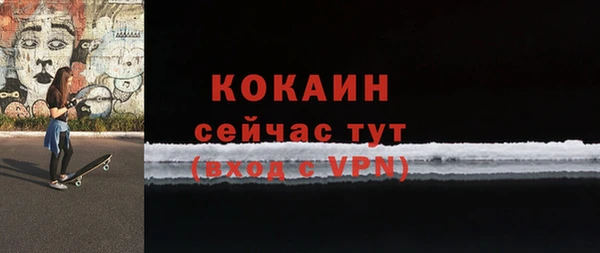 индика Гусь-Хрустальный