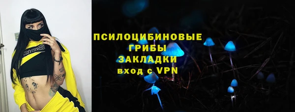 PSILOCYBIN Гусев
