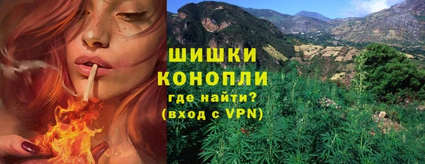 индика Гусь-Хрустальный