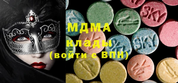 индика Гусь-Хрустальный