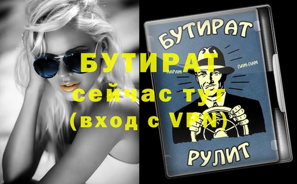 индика Гусь-Хрустальный