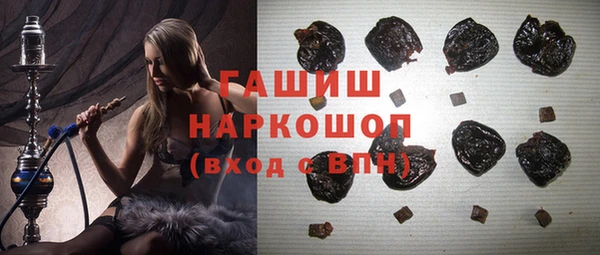 индика Гусь-Хрустальный
