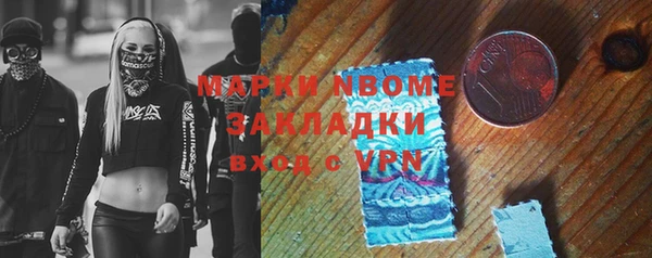 индика Гусь-Хрустальный