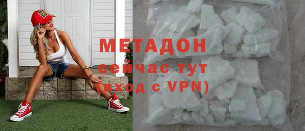 индика Гусь-Хрустальный